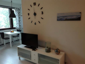 A lovely one-room apartment near the city centre. in Vaasa